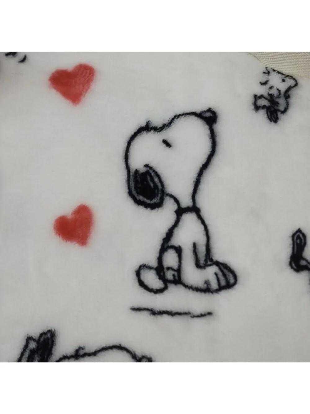 Peanuts Snoopy VelvetLoft Twin Blanket Berkshire 60